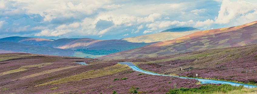 Cordillera de Cairngorms