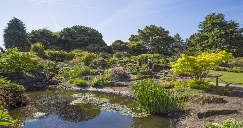 Royal Botanic Gardens in Edinburgh