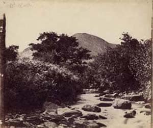 Paisaje tomado por John Muir Wood