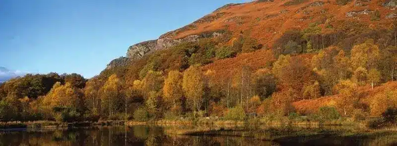 Paisaje otoñal en Aberfoyle en Escocia
