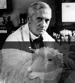 inventos clonación de oveja
