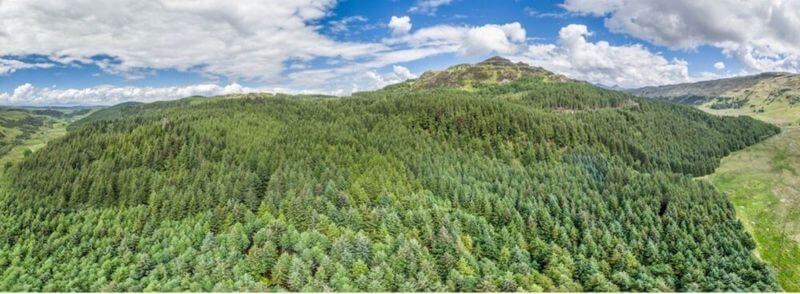 Vista del bosque de Argyll en el Parque Nacional del Lago Lomond y los Trossachs en Escocia