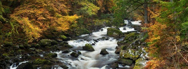 Río en el bosque The Hermitage en Escocia