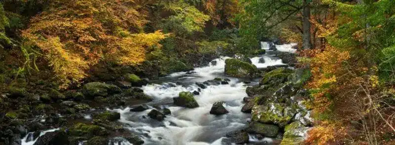 Río en el bosque The Hermitage en Escocia