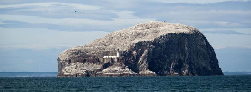 Roca Bass o Bass Rock en Escocia