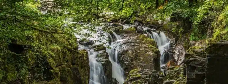 Cascada Black Linn en el río Braan en Hermitage Forest, Escocia