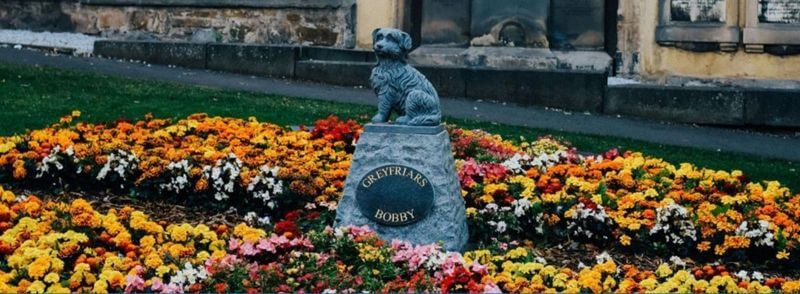 Estatua del perro Bobby entre flores en Edimburgo