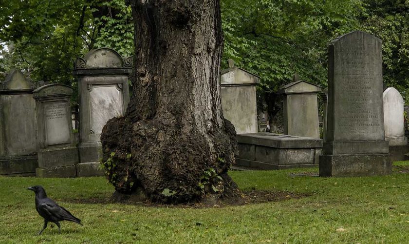 Free tour de los fantasmas misterios y brujas de Edimburgo